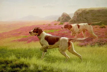Cani da caccia in un paesaggio